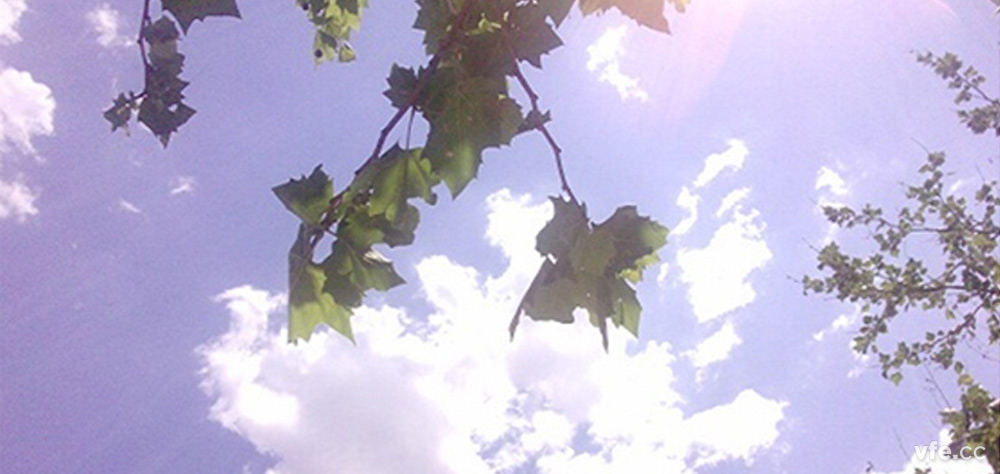 三伏酷暑 三伏酷暑