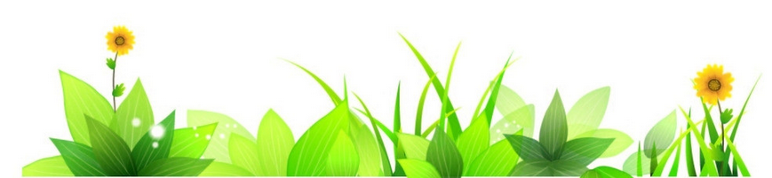 母親節(jié) 母親節(jié)