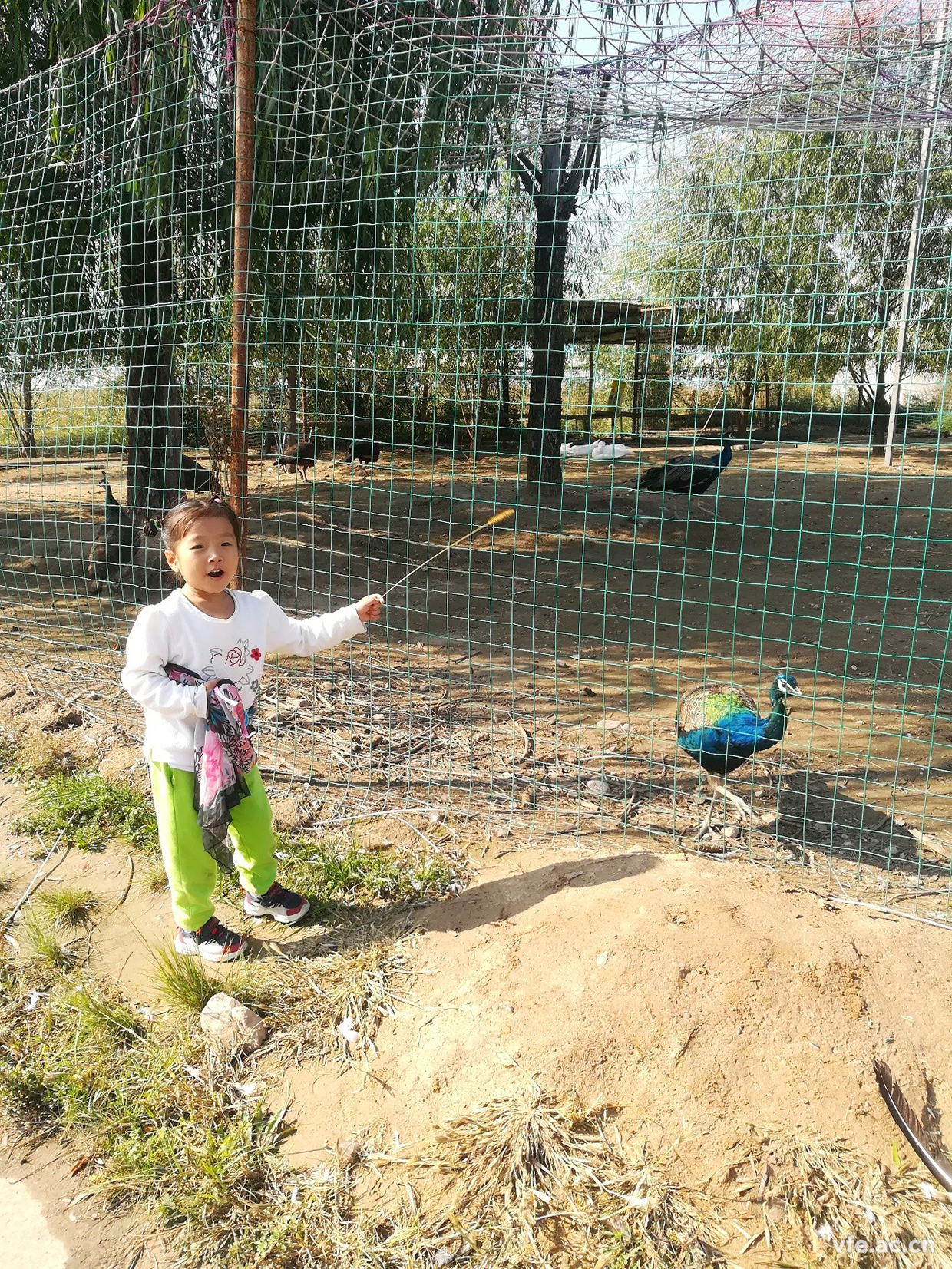 內(nèi)蒙之行，難忘之旅