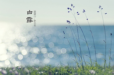 白露降，秋意濃