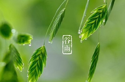 谷雨，播種希望