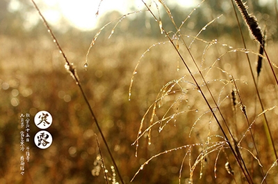 寒露已至，注意添衣防寒