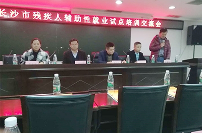 銀河電氣參加2017年長沙市殘疾人輔助性就業(yè)試點培訓交流會